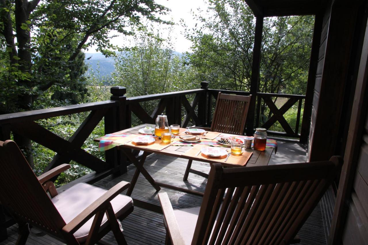 Villa Wideta à Smerek Extérieur photo